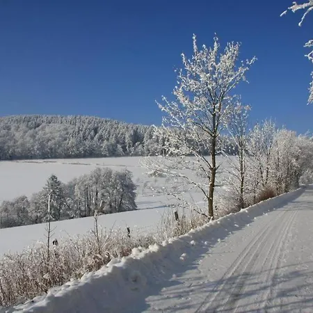 Appartement-bockelau Lägenhet Willingen (Upland)